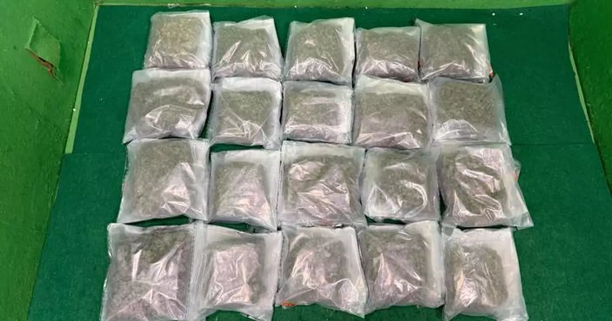 Hong Kong Customs Seizes 20kg of Cannabis, Arrests Two Men at Airport