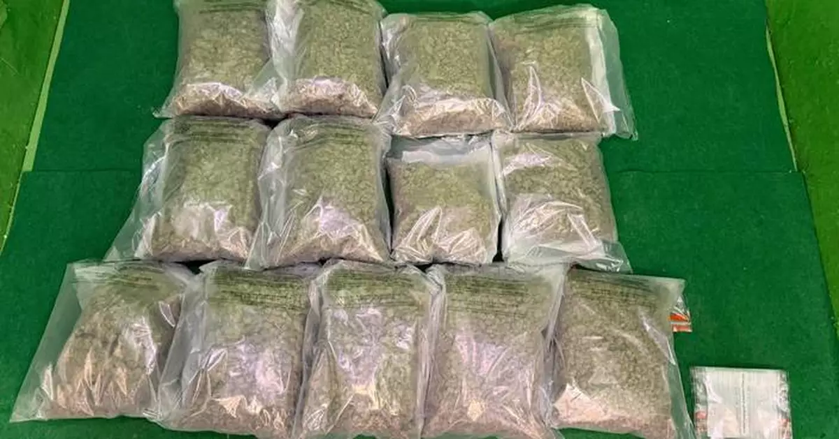Hong Kong Customs Seizes 22kg of Cannabis and Arrests Two Passengers at Airport