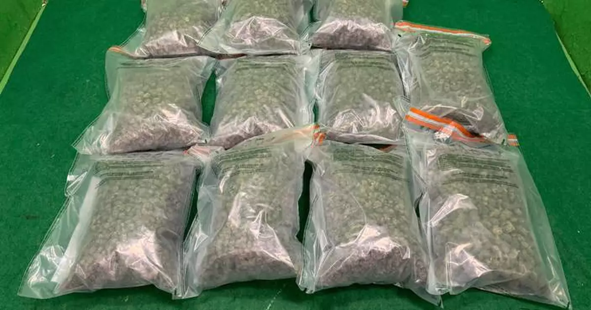 Hong Kong Customs Seizes 11 Kilograms of Cannabis and Arrests Passenger at Airport