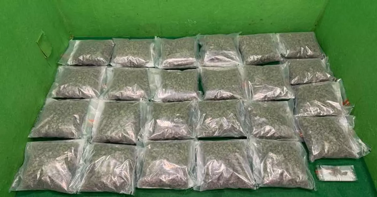 Hong Kong Customs Seizes 24.5 kg of Cannabis in Two Drug Trafficking Cases at Airport