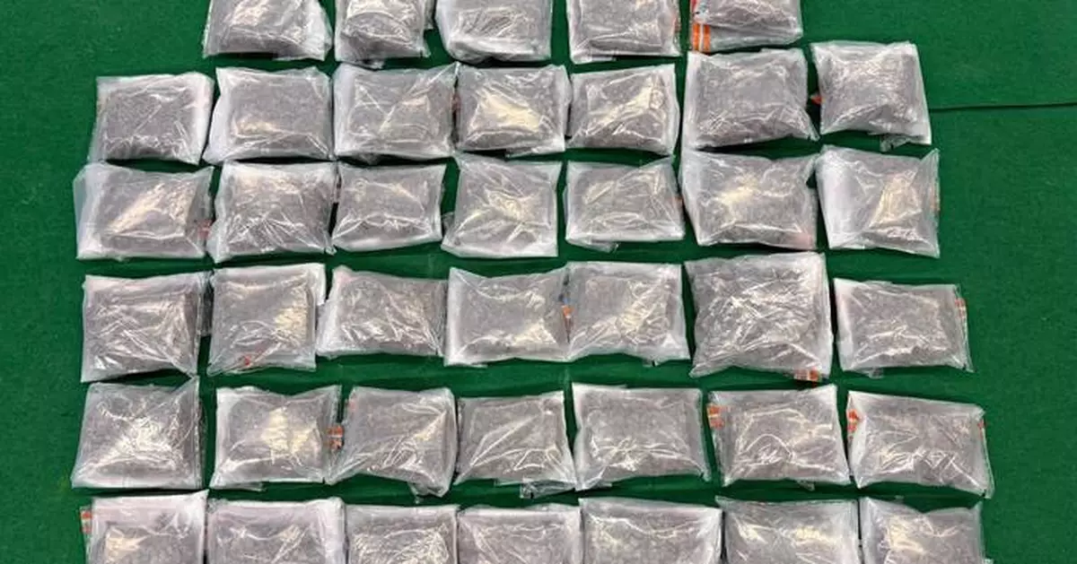Hong Kong Customs Seizes 30kg of Cannabis, Arrests Two Passengers at Airport