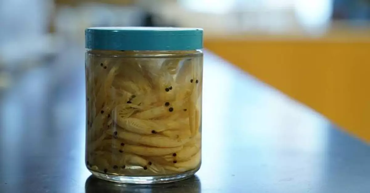 Krill fishery in Antarctica shut down after record catch triggers unprecedented early closure