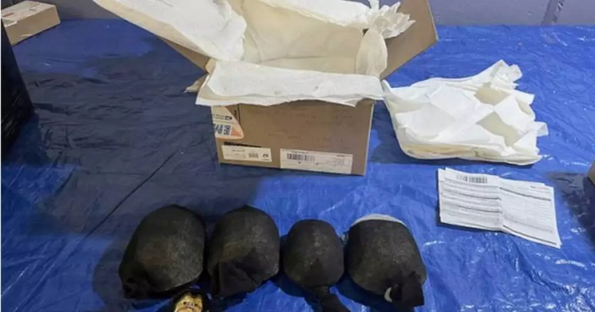 Man admits trying to smuggle 850 protected turtles valued at $1.4 million to Hong Kong