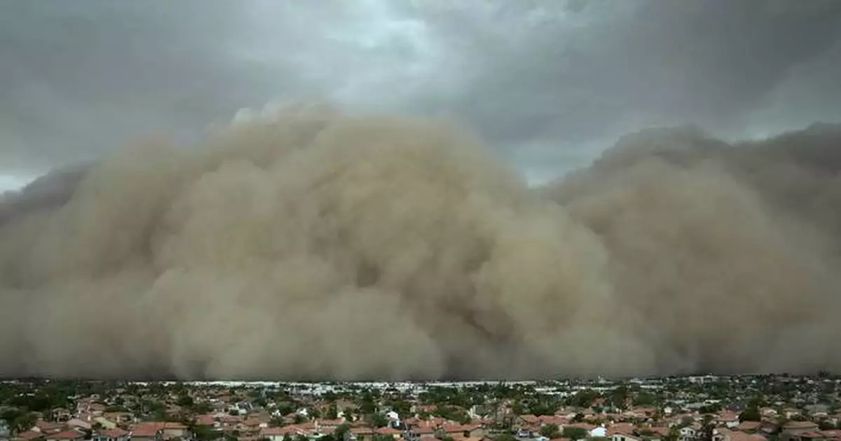 After fearsome dust storm rips Phoenix area, trees cleaned up and power restored