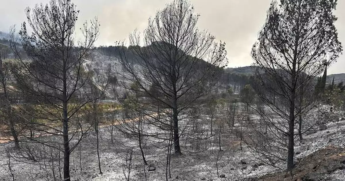 France’s largest wildfire in decades contained after devastating southern region and wine country