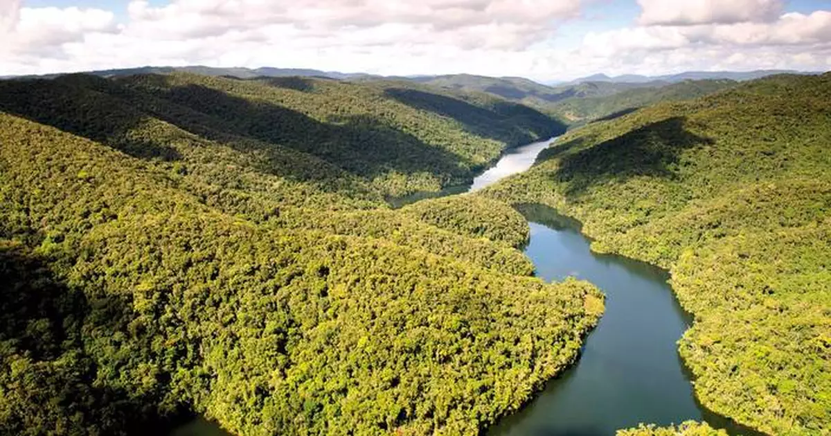 IFF and Reservas Votorantim Sign Bioprospecting Partnership in Brazil