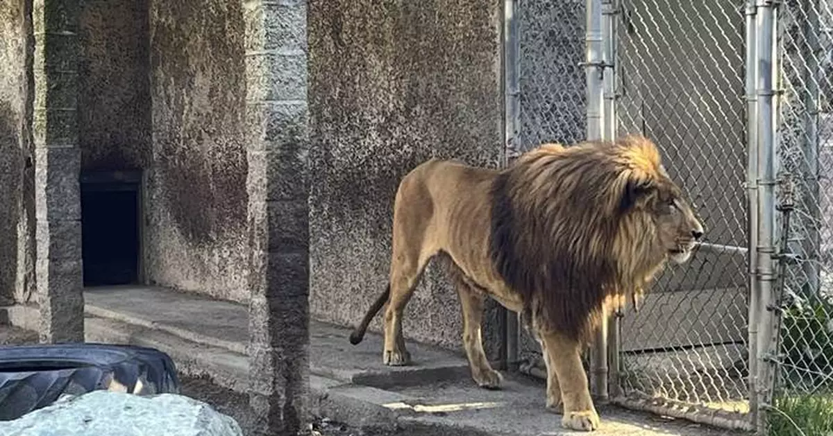 Oregon safari park owner indicted on more than 300 animal neglect charges