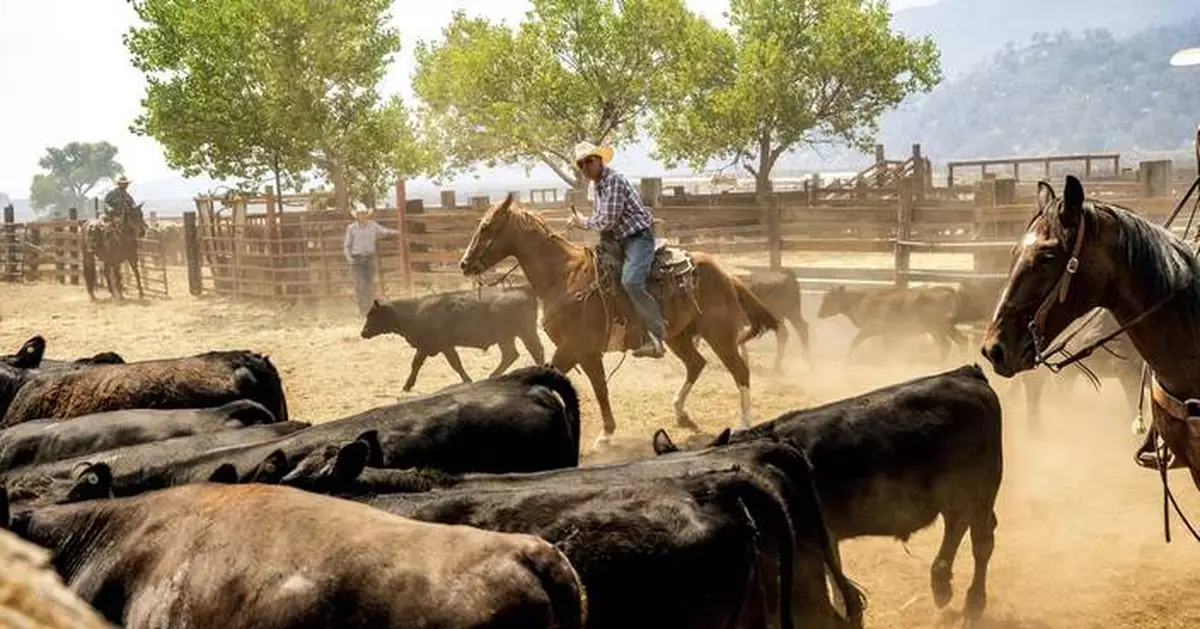 Massive wildfire in central California threatens homes, injures 3 people as it burns out of control