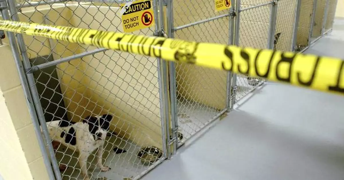 Former NFL player convicted in large-scale dogfighting operation in Oklahoma