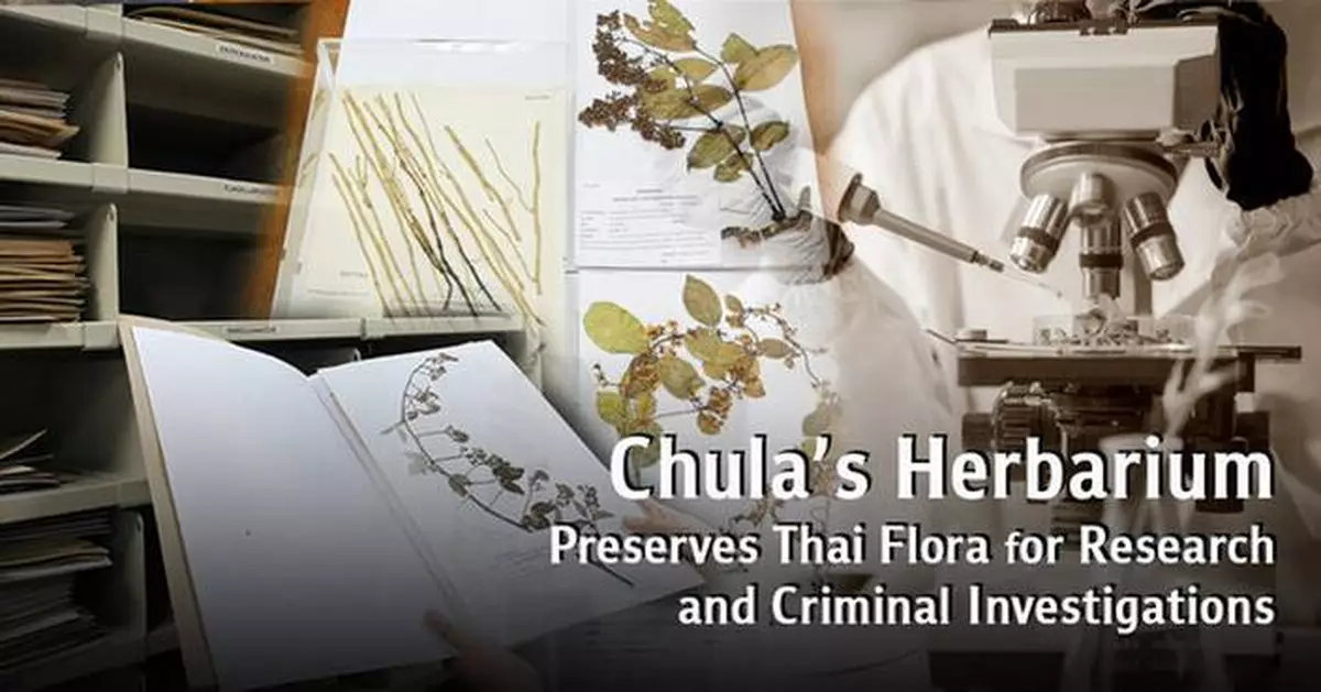 Chulalongkorn University's Herbarium Preserves Thai Flora for Research and Criminal Investigations