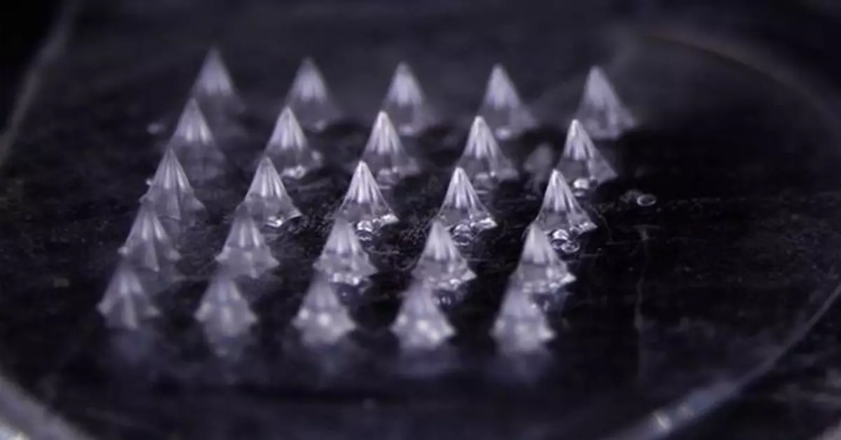 Daewoong Therapeutics Microneedle Patch Achieves Best-in-Class Bioavailability, Proving the Strength of Its Drug-Delivery Platform