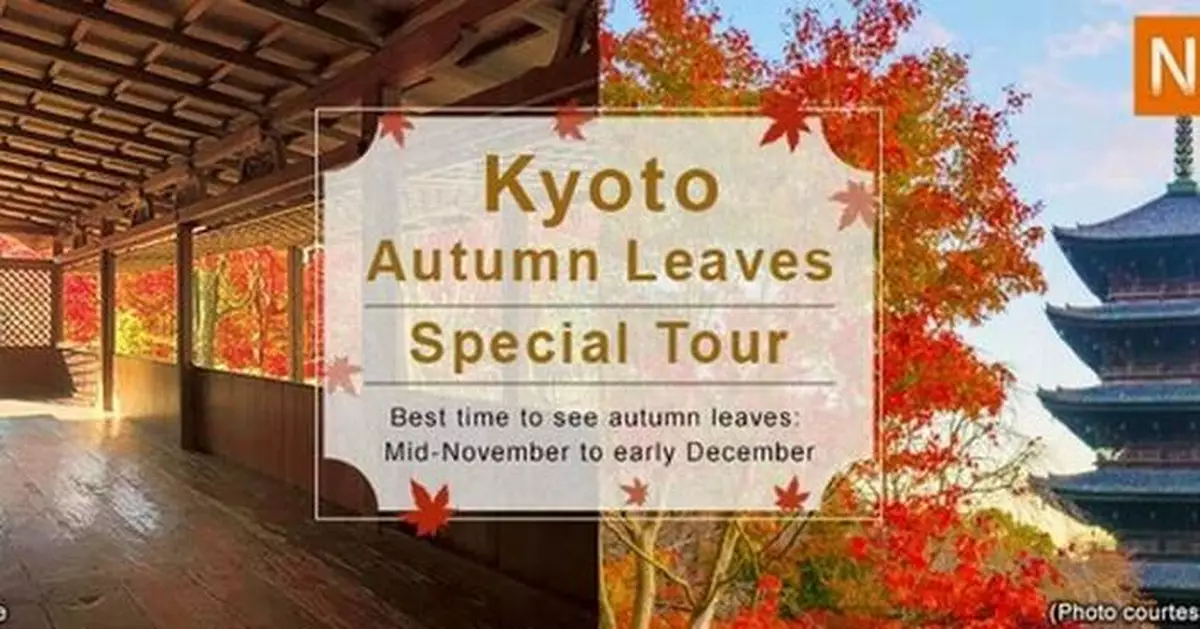 Experience Japan's Stunning Autumn with Fall Foliage and Hot Springs -- Carefully selected scenic routes for those planning a Japan trip in fall 2025