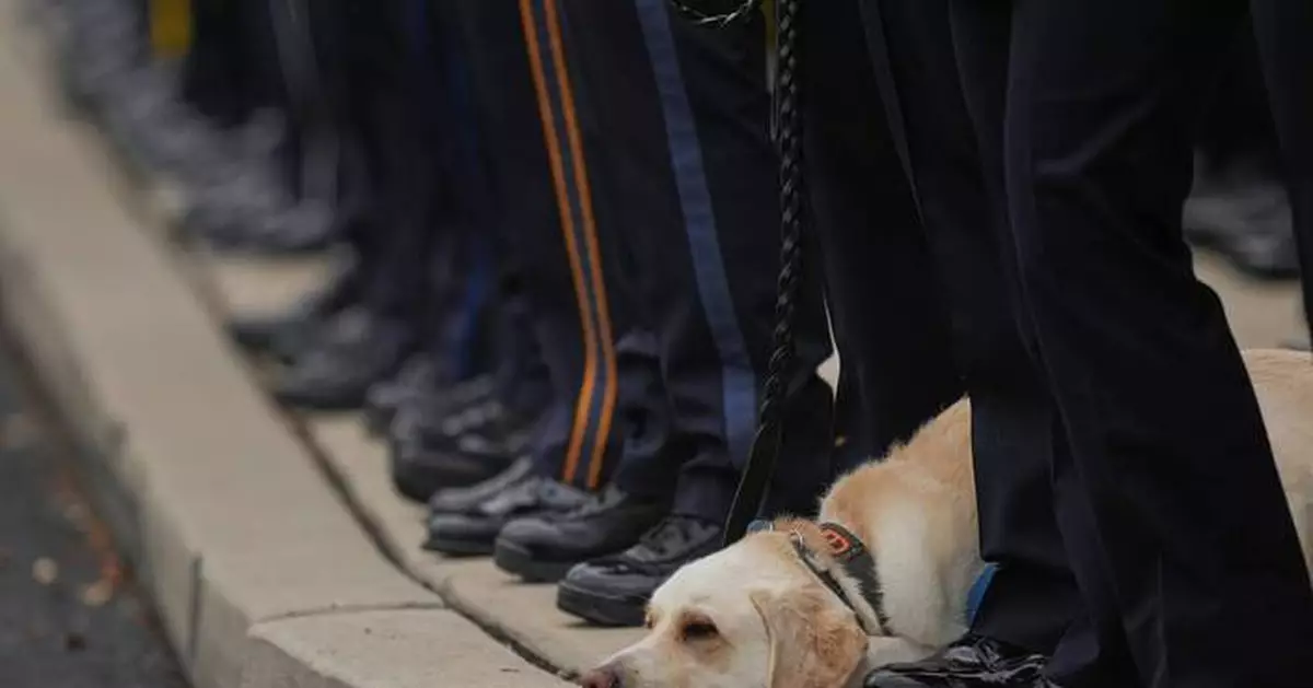 The top photos of the day by AP's photojournalists