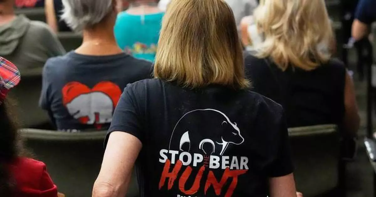 More than 160,000 apply for Florida's first bear hunt in a decade, wildlife officials say