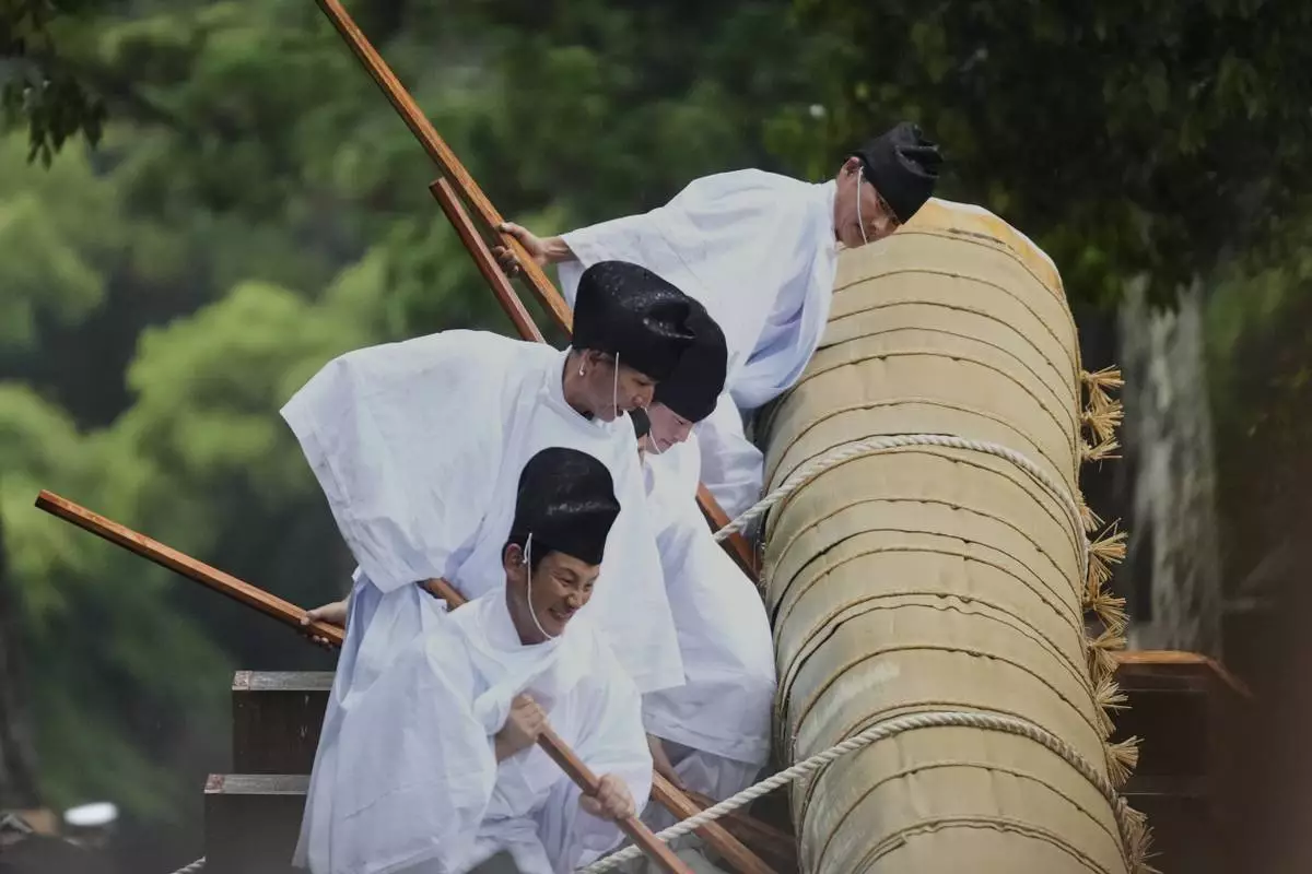 Members of the Shinto priesthood try to push down a sacred timber from a wheeled platform at the end of Mihishirogi Hoeishiki, a ceremony of the Shikinen Sengu ritual to rebuild the shrine's main structures for Shinto deities, at the Ise Jingu shrine complex, in Ise, central Japan, Tuesday, June 10, 2025. (AP Photo/Hiro Komae)