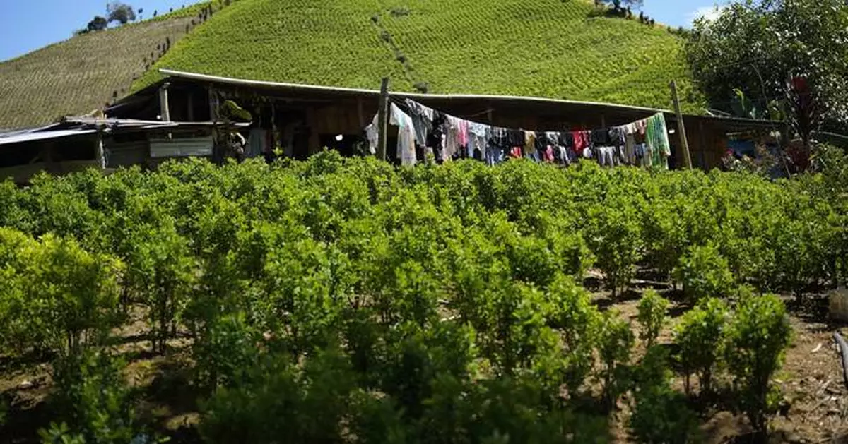 US designates Colombia as failing to cooperate in the drug war for first time in nearly 30 years