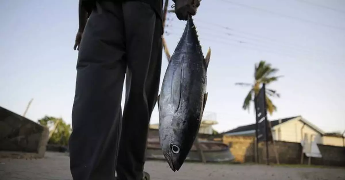 Long-wrought WTO agreement aimed at reducing overfishing takes effect