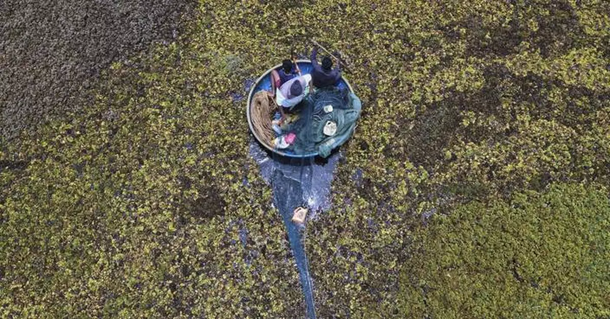 As climate risks grow, India's Bengaluru is trying to save its vanishing lakes