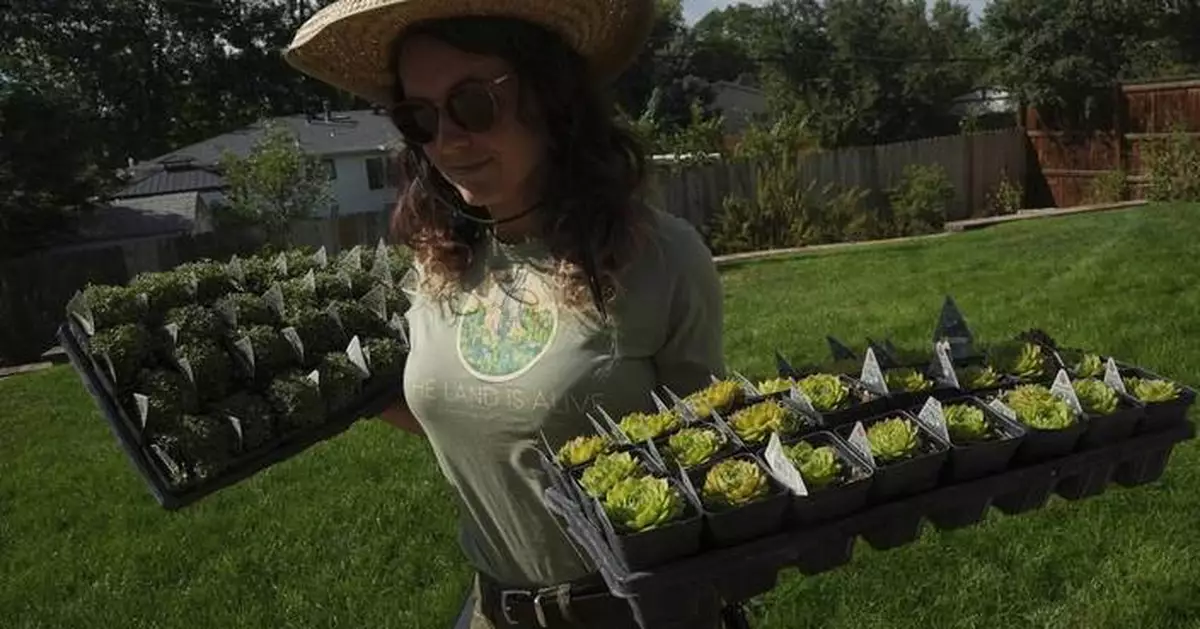 Move over, green lawns. Drier, warmer climate boosts interest in low-water landscaping