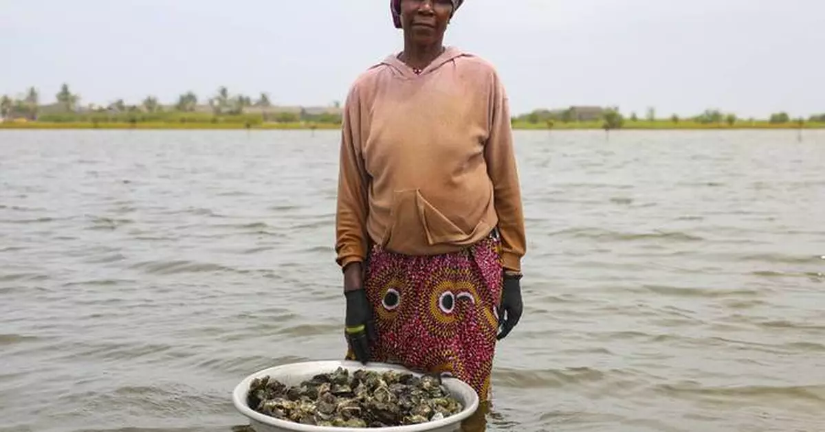 Photos show Ghana's female oyster farmers sustaining a generational practice