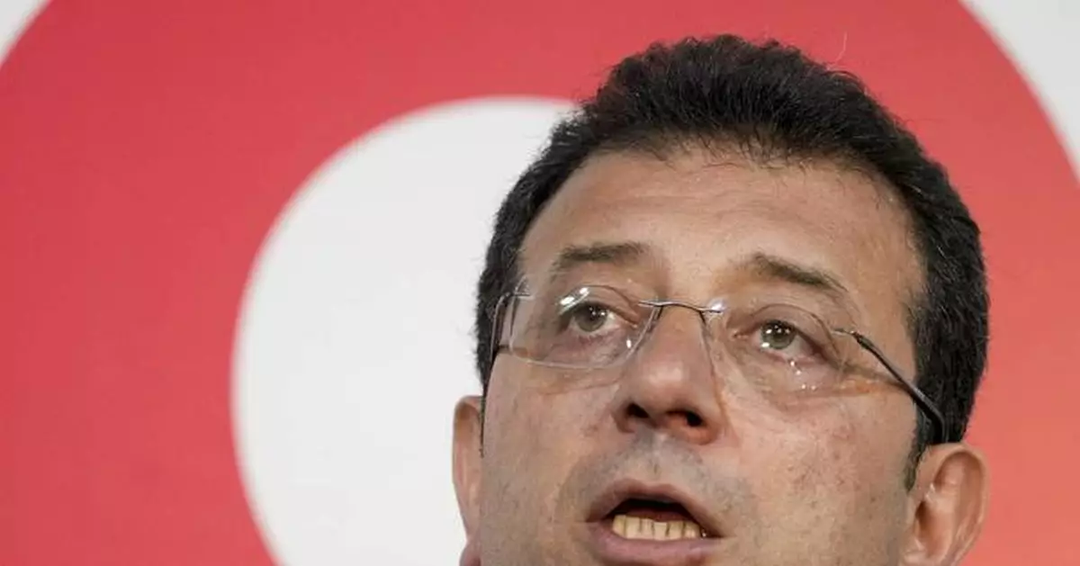 European human rights body denounces arrest of Turkish activist critical of Erdogan