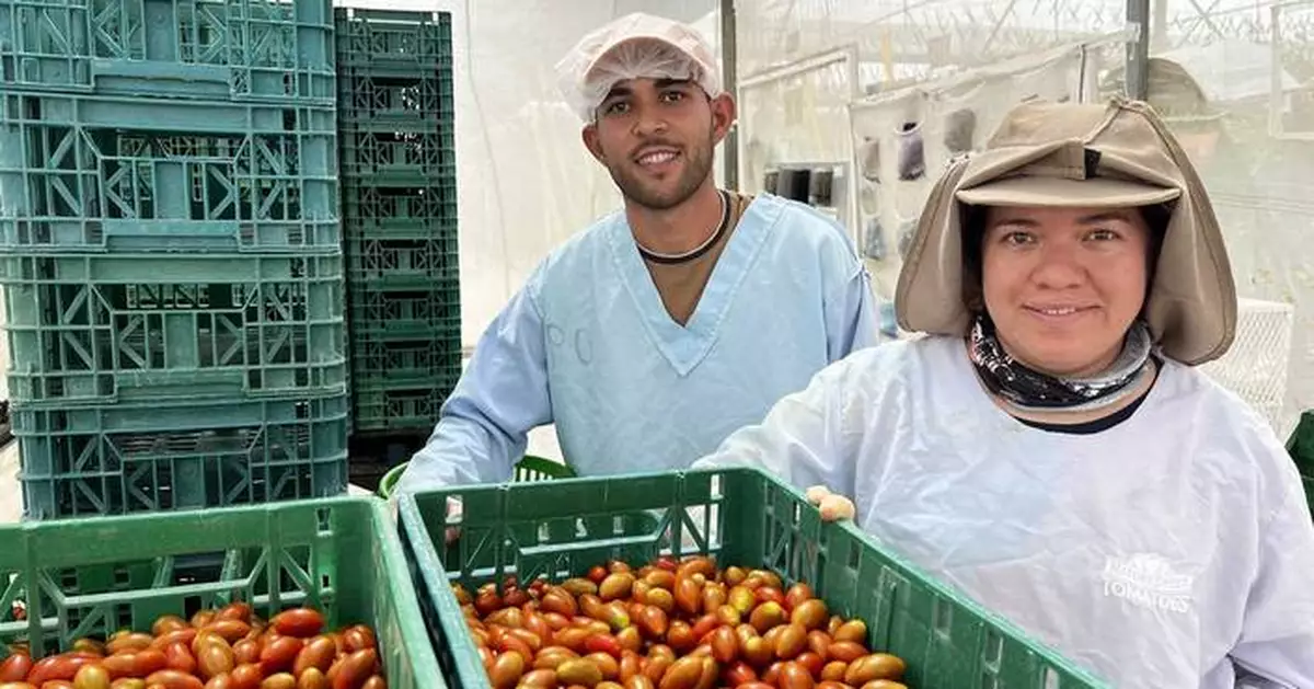 Harvesting Impact: NatureSweet Releases 2024 Sustainability Report