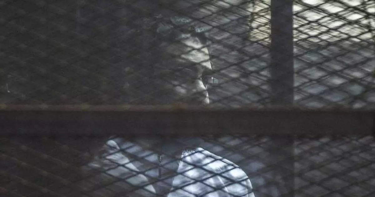 Egyptian activist Alaa Abd el-Fattah released from prison after presidential pardon