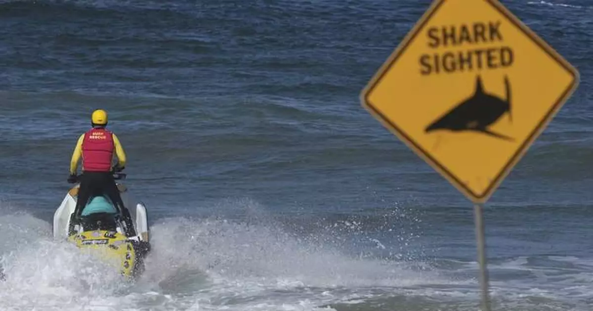 Shark kills beachgoer near Sydney