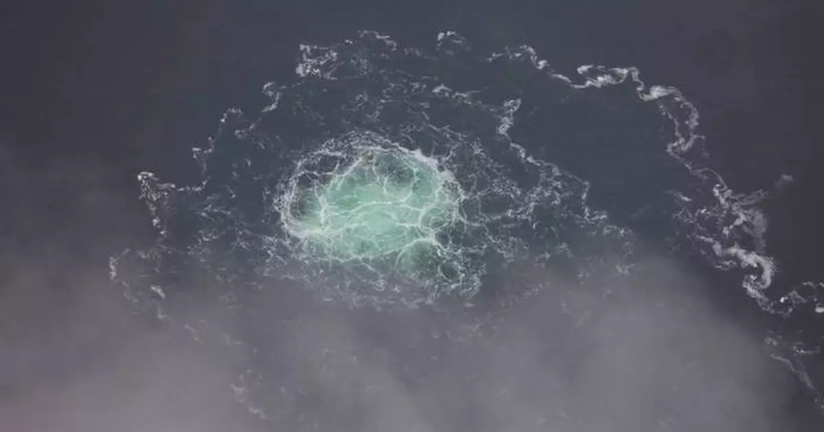 Ukrainian detained in Poland over 2022 Nord Stream gas pipeline explosions