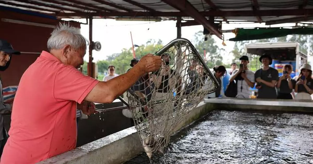 Hong Kong Launches Fish enJoy Scheme to Boost Aquaculture and Leisure Fisheries