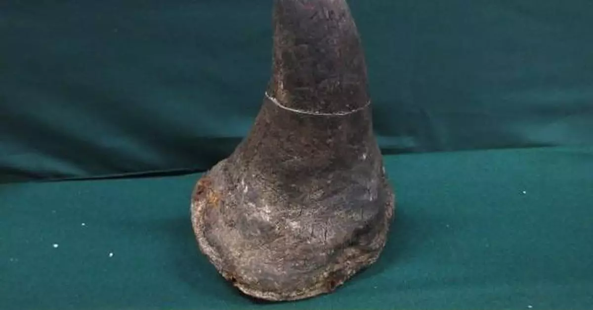 Hong Kong Customs Seizes $0.8 Million Worth of Rhino Horns at Airport, Arrests Suspect