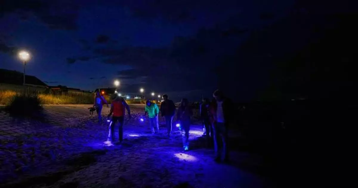 Finding happiness in amber: On Germany's Baltic coast, people go hunting for the precious pieces