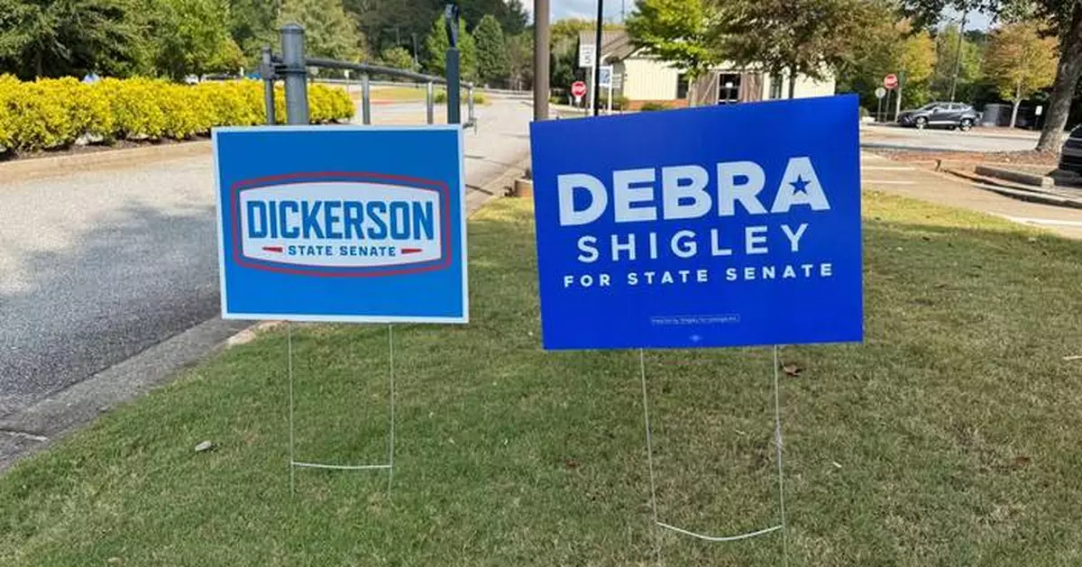 Georgia Republican wins state Senate race over Democrat who made surprise showing in August