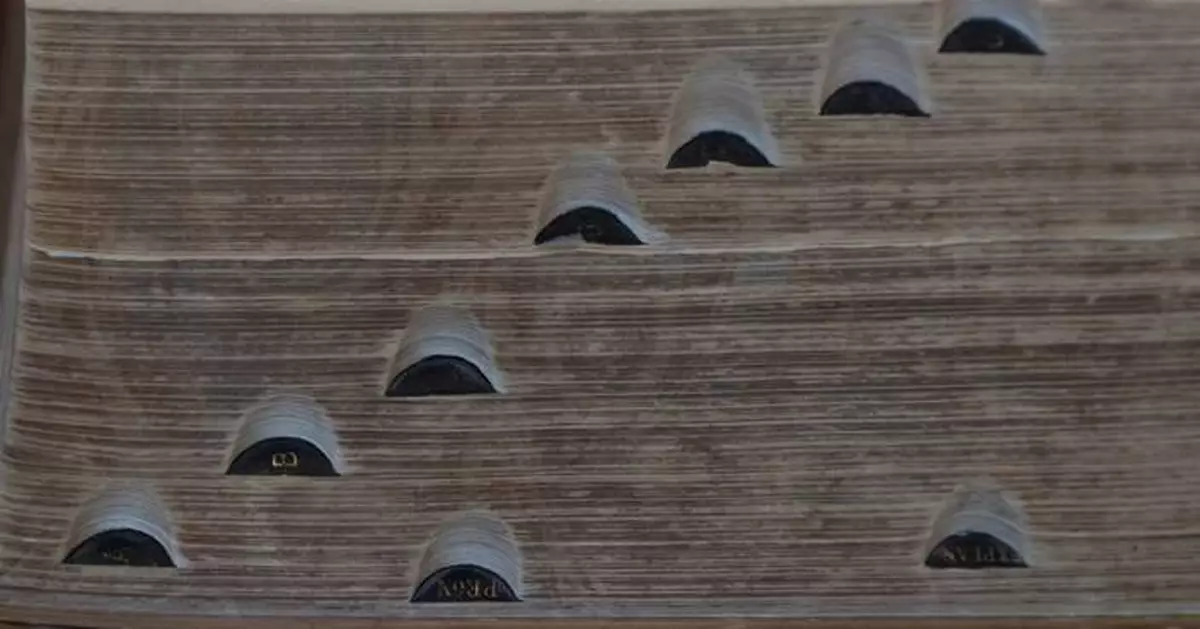 Hard pass. Cold brew. Dad bod. Merriam-Webster adds over 5,000 words to 'Collegiate' dictionary