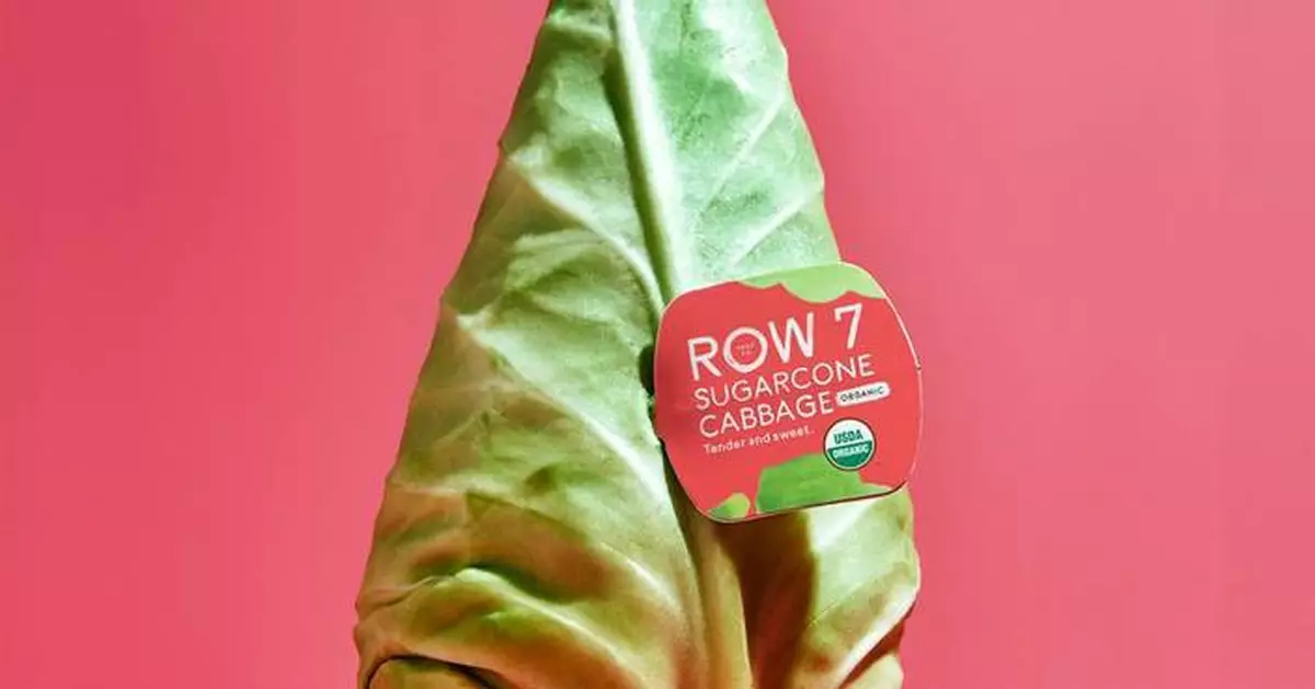 Row 7 Seed Company Brings Sugarcone Cabbage to Whole Foods Market This Fall