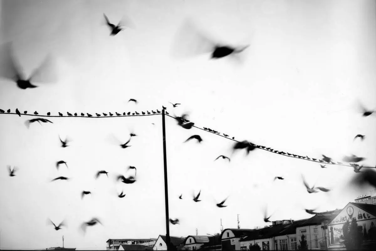 FILE PHOTO GALLERY - Pigeons take flight near the Shah-Do Shamshira Mosque in Kabul, Afghanistan, June 8, 2023. (AP Photo/Rodrigo Abd)