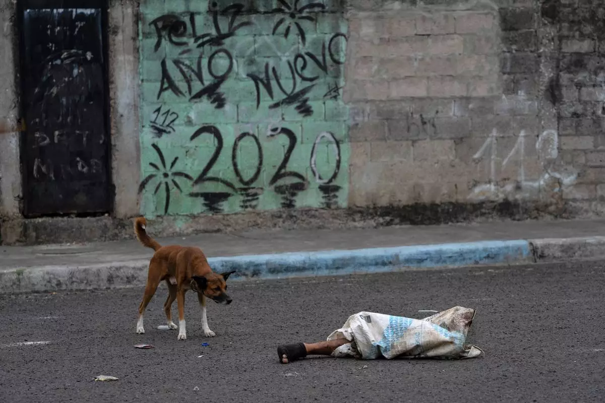 FILE PHOTO GALLERY - The legs of a dismembered man protrude from a bag on a street where dogs roam in the Colinas de La Florida neighborhood of Guayaquil, Ecuador, Oct. 1, 2023. The legs laid there for hours before being picked up by authorities and the rest of the man's body parts were found scattered a few blocks away. (AP Photo/Rodrigo Abd)