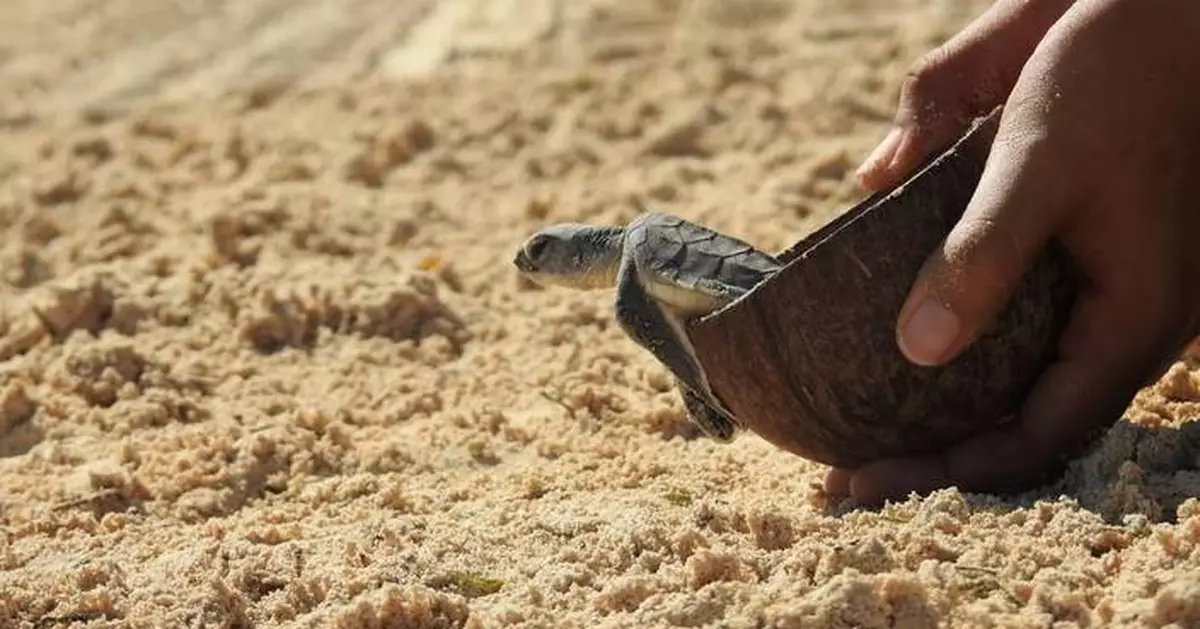 On World Tourism Day, The Palace Company Calls on Travelers to Protect the Planet That Makes Tourism Possible