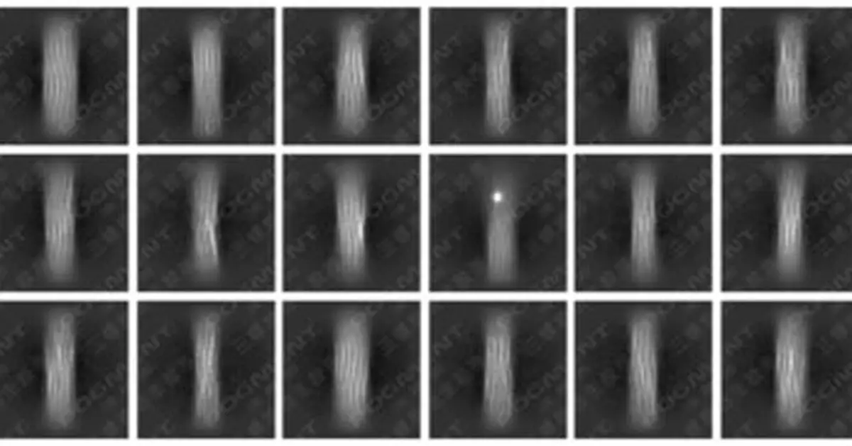 GLOBAL FIRST "High-Definition Image": Decoding the "Code of Youth" - LivingPhoenix's POGMENT Collagen Breakthrough Bridges International Gap