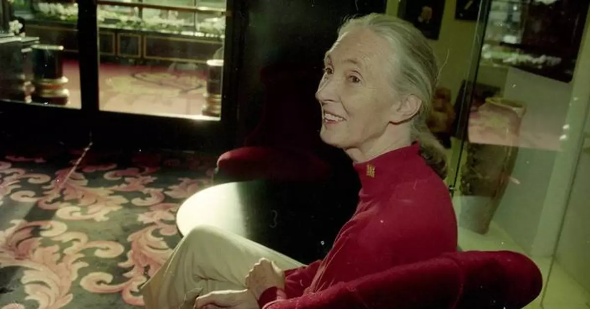 What to know about the life and legacy of chimpanzee researcher and wildlife advocate Jane Goodall