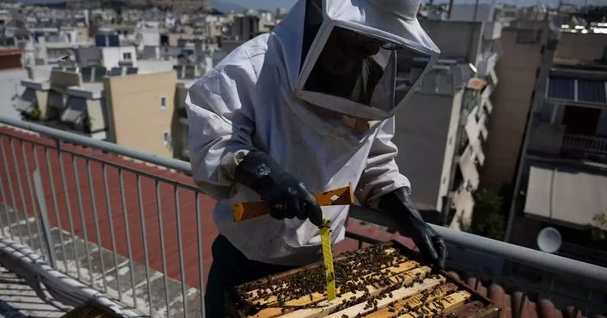 Rooftop beekeeping in Athens: A new buzz in urban ecosystems, in photos