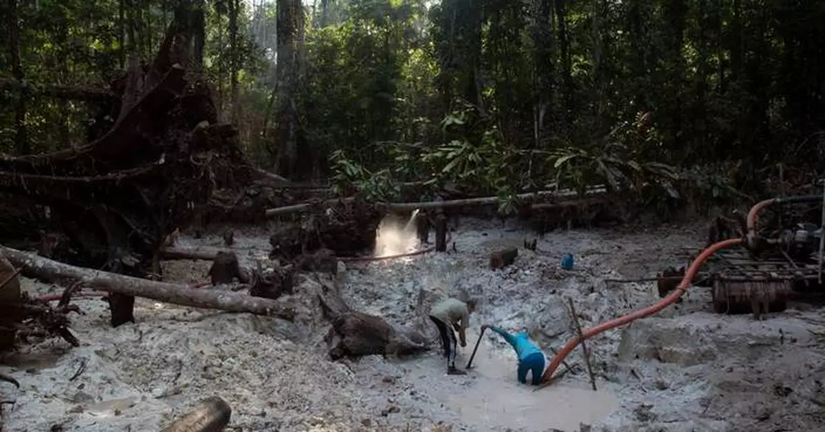 Interpol-led crackdown on environmental crime leads to 225 arrests in Latin America