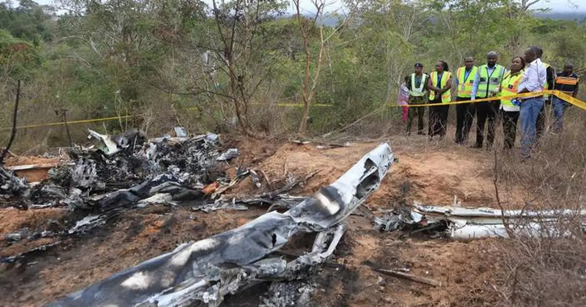 Budapest boxing club says board member, family among 11 killed in Kenya plane crash
