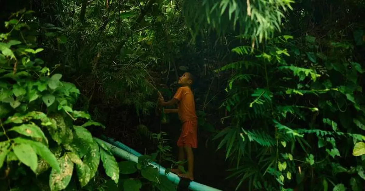 Starving children screaming for food as US aid cuts unleash devastation and death across Myanmar