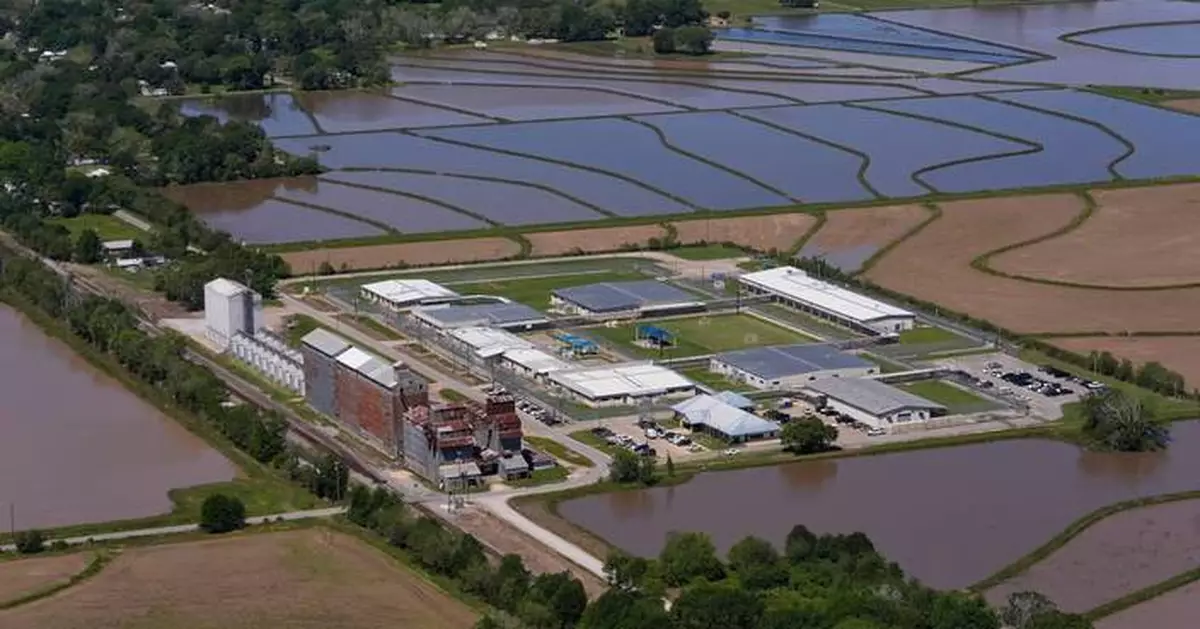 Immigrant rights group calls for removing pregnant women from detention