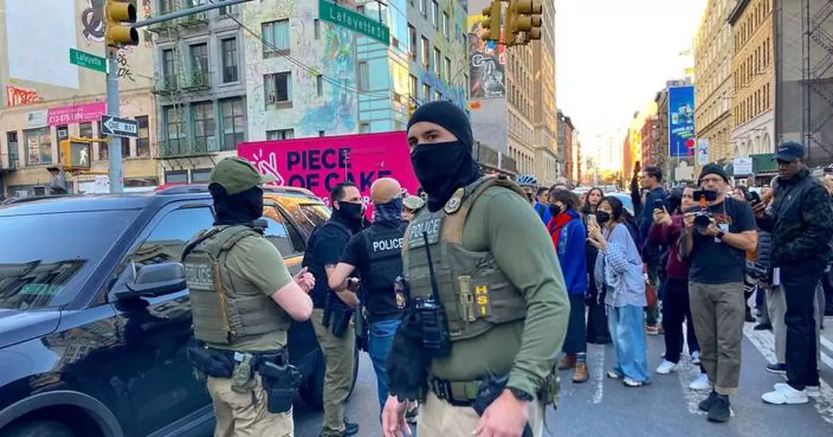 Vendors on NYC's Canal Street say they were harassed and asked to show papers in immigration sweep