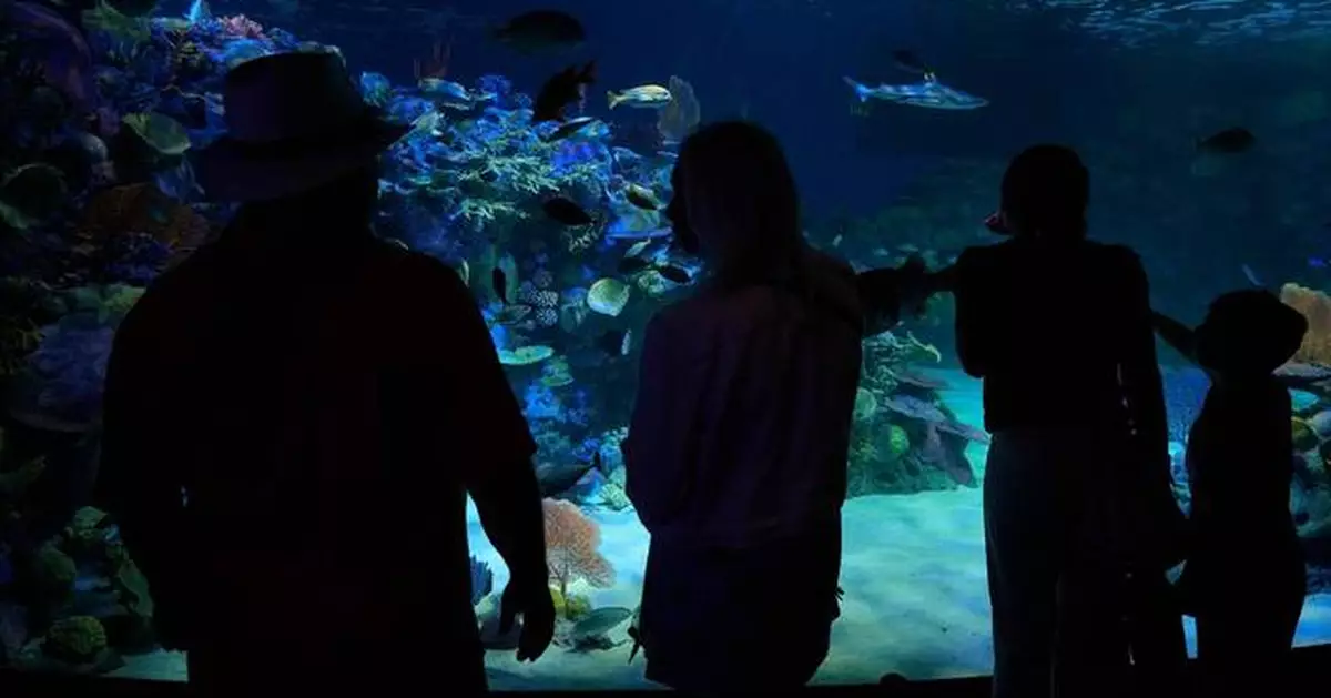 Florida's Mote Marine Laboratory relocates hundreds of marine animals to new $130M facility