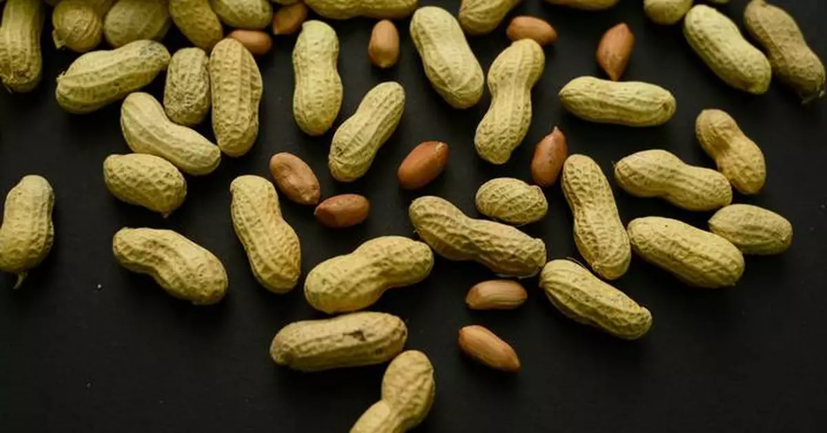 Advice to feed babies peanuts early and often helped thousands of kids avoid allergies