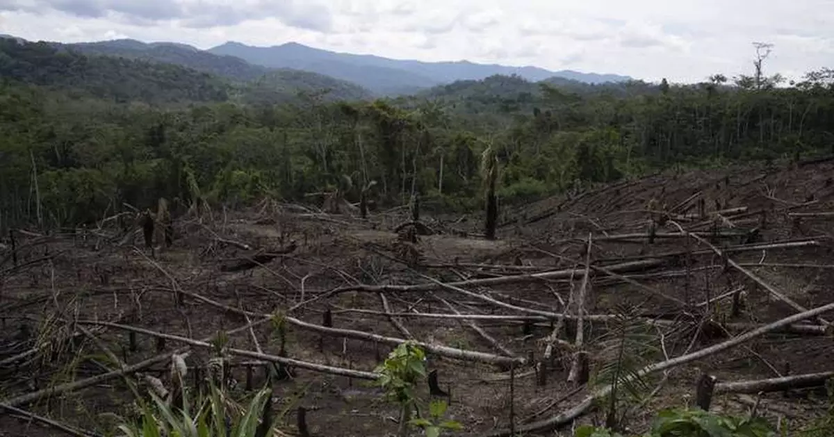 As Amazon's 'flying rivers' weaken with tree loss, scientists warn of worsening droughts