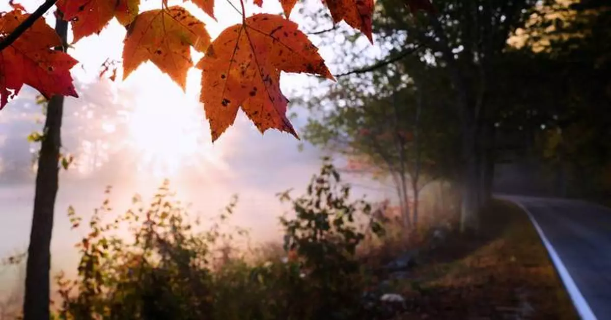 Drought has muted this year's leaf-peeping season, but pockets of brilliant colors remain